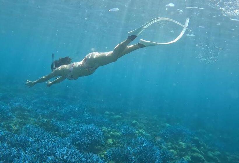 تختخواب و صبحانه 蒙德里安山水民宿