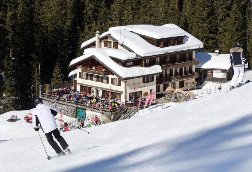 בית מלון כפרי Schifer Berghaus