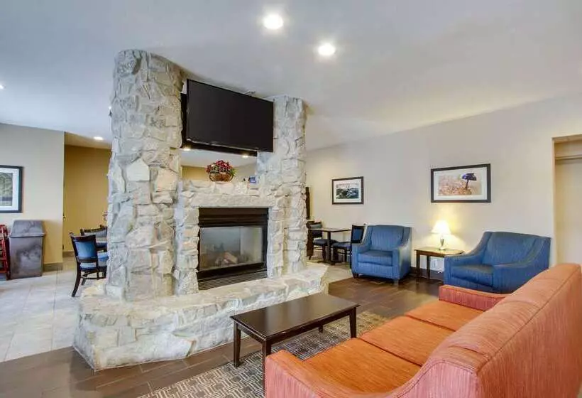 Отель Comfort Inn & Suites Bellevue   Omaha Offutt Afb