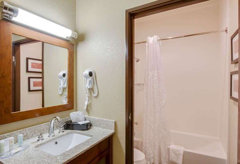 فندق Comfort Inn & Suites Bellevue   Omaha Offutt Afb