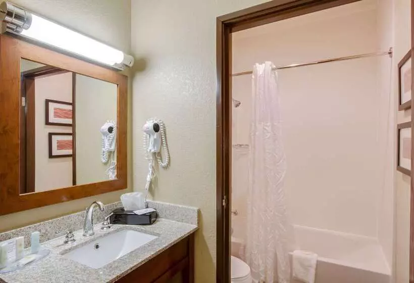 Отель Comfort Inn & Suites Bellevue   Omaha Offutt Afb