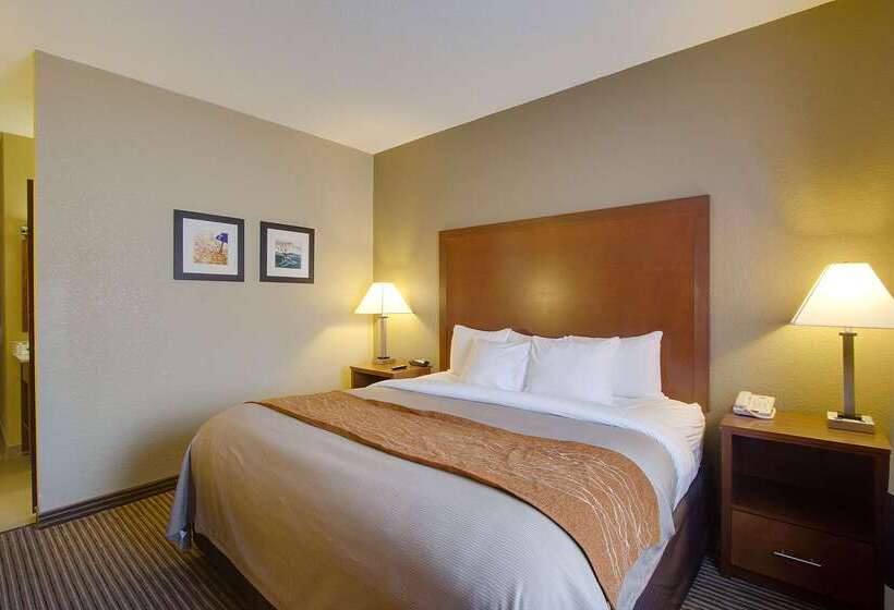 فندق Comfort Inn & Suites Bellevue   Omaha Offutt Afb