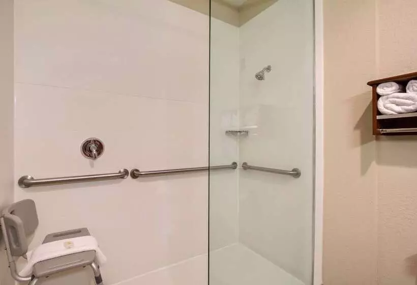 Отель Comfort Inn & Suites Bellevue   Omaha Offutt Afb