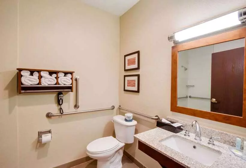 Отель Comfort Inn & Suites Bellevue   Omaha Offutt Afb