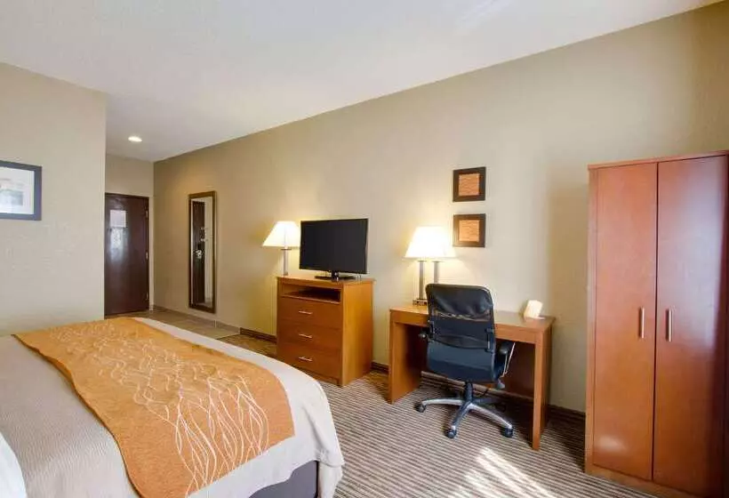 Отель Comfort Inn & Suites Bellevue   Omaha Offutt Afb