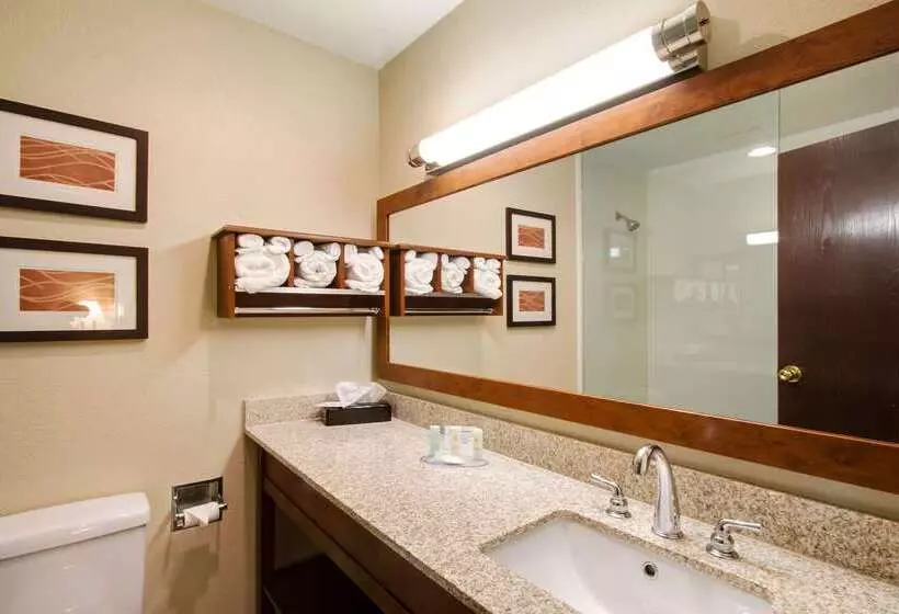 Отель Comfort Inn & Suites Bellevue   Omaha Offutt Afb