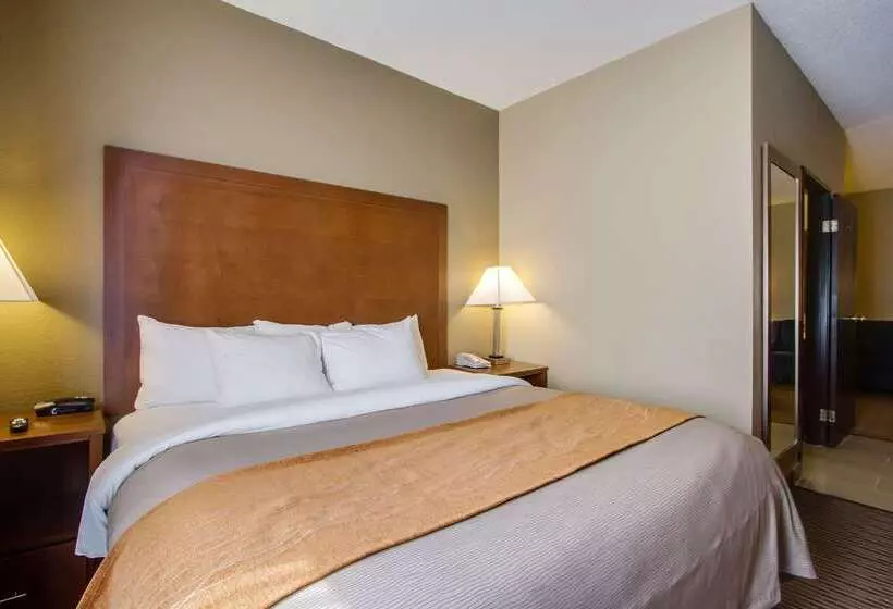 Отель Comfort Inn & Suites Bellevue   Omaha Offutt Afb