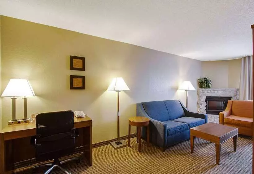 Отель Comfort Inn & Suites Bellevue   Omaha Offutt Afb