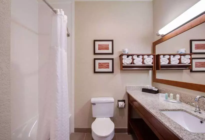 Отель Comfort Inn & Suites Bellevue   Omaha Offutt Afb