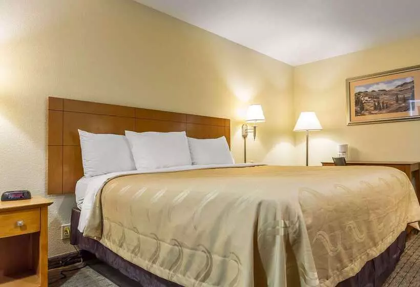 فندق Quality Inn & Suites