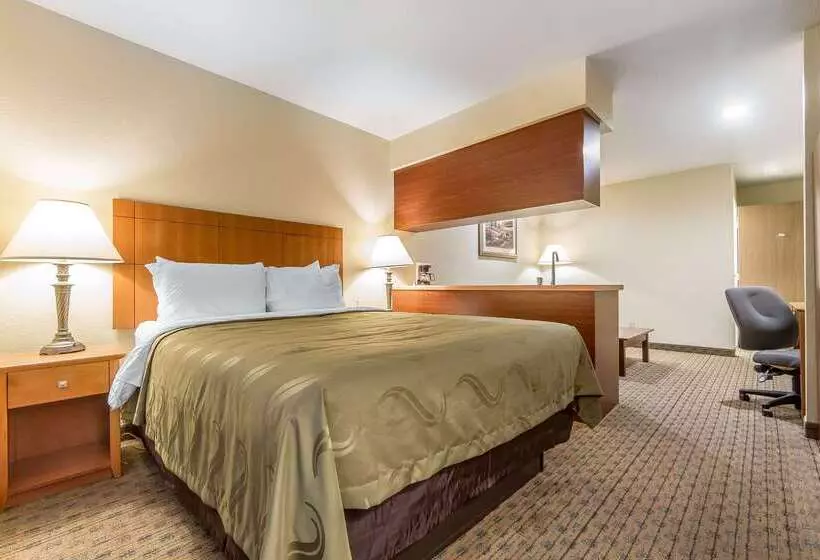 فندق Quality Inn & Suites