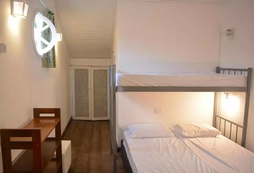 هاستل Casa De Flor Hospedagem