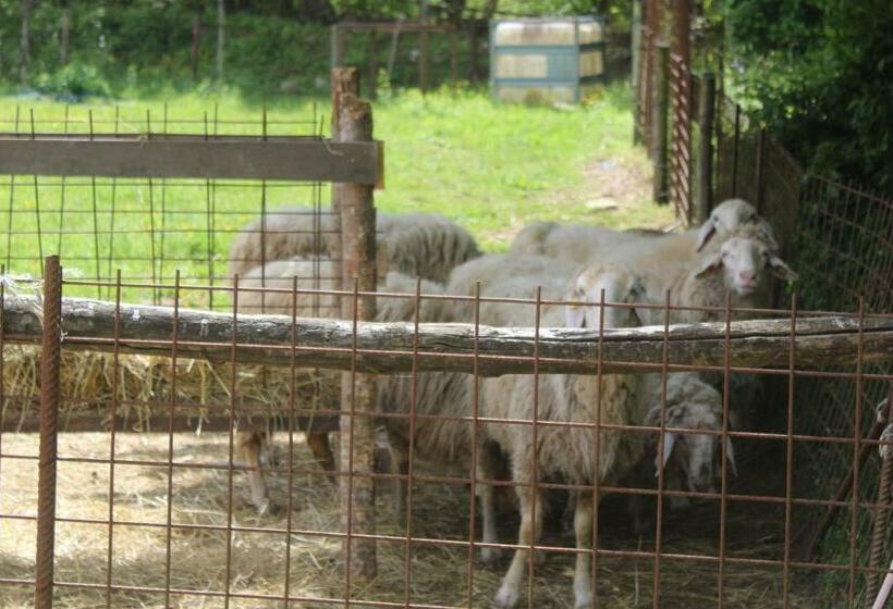 호텔 B&b Podere Lambure  Società Agricola