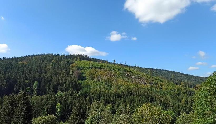 Pensió Penzion Selský Dvůr