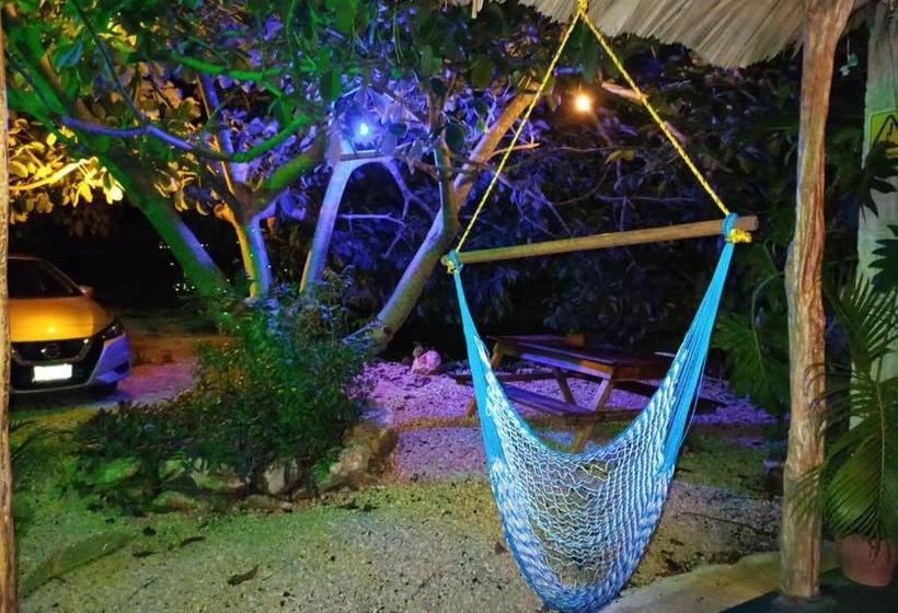 فندق صغير Ito Kuyche