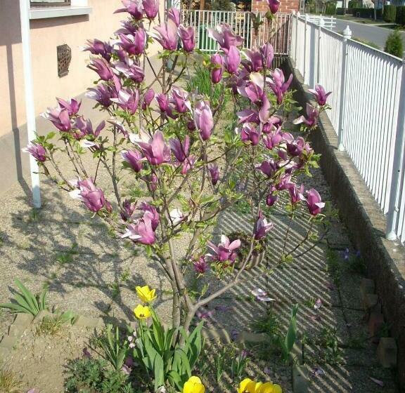 Bed and Breakfast Bundics Vendégházak