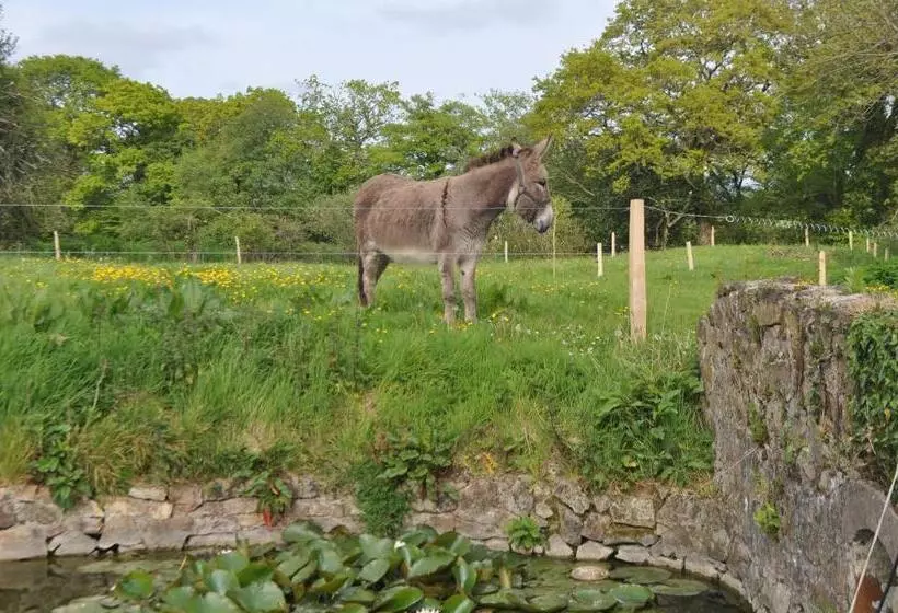 Majatalo Chambre D’hôtes La Ferté