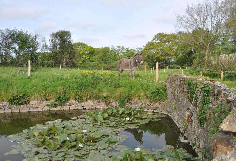 Пансион Chambre D’hôtes La Ferté