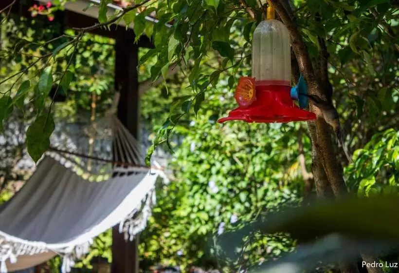 Majatalo Pousada Romântica Serra Da Mata