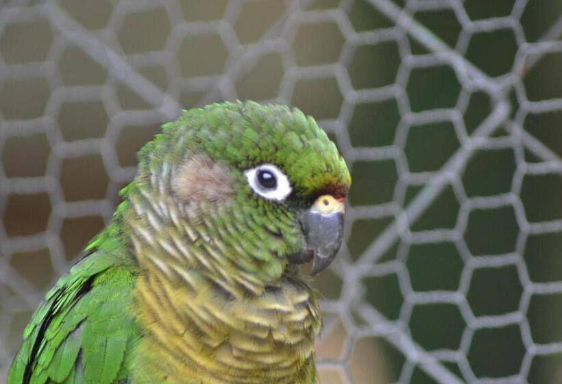 膳宿费 Pousada Romântica Serra Da Mata