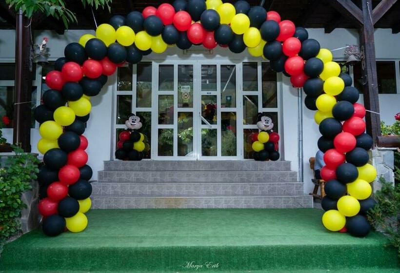 Pensiunea Valea Negrasului