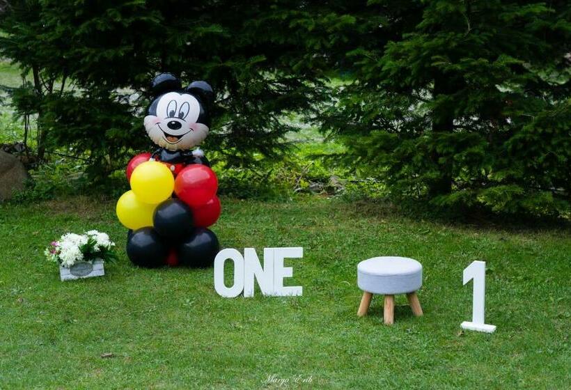 Pensiunea Valea Negrasului