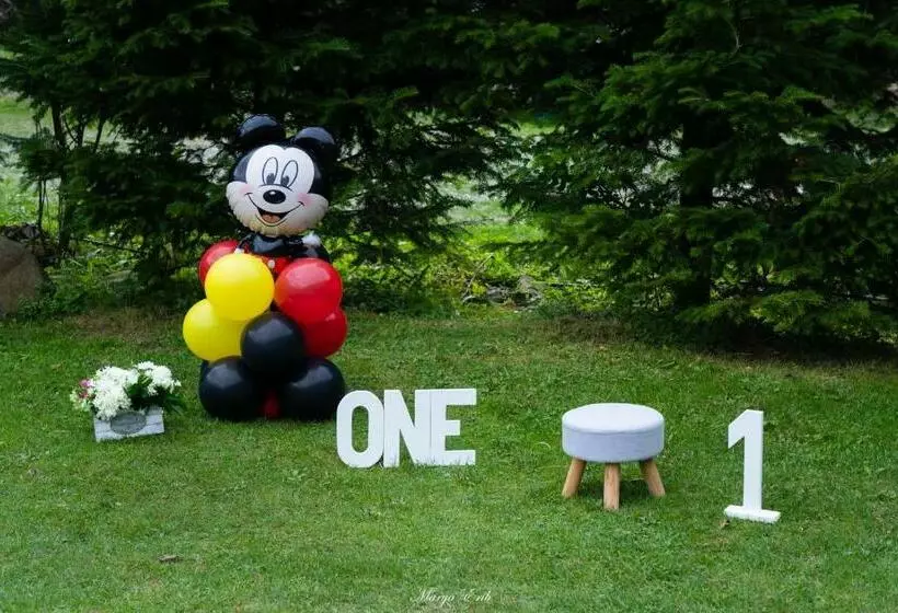 Pensiunea Valea Negrasului