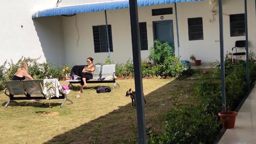 بنسيون Il Padrino