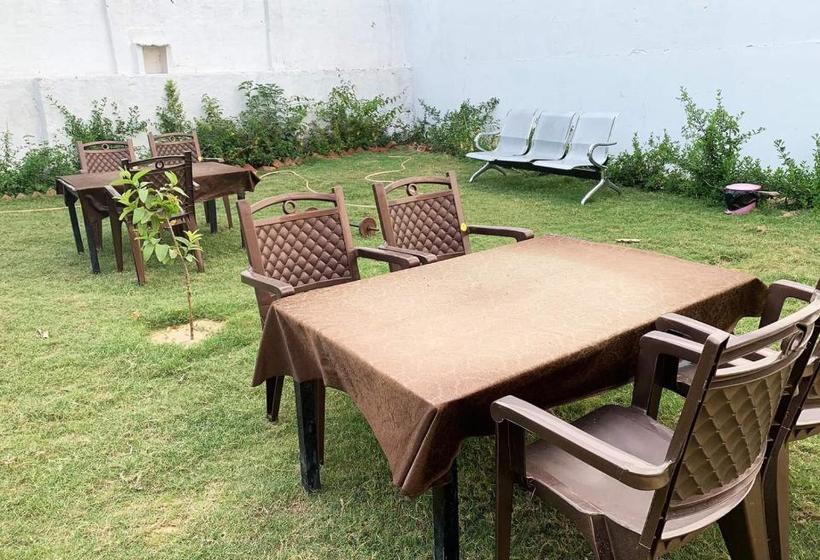 بنسيون Il Padrino