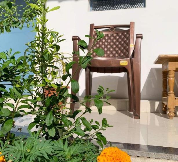 بنسيون Il Padrino