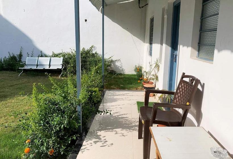 بنسيون Il Padrino