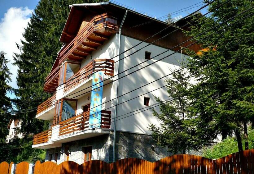 Pension Casa Soarelui