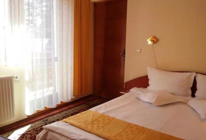 Pension Casa Soarelui