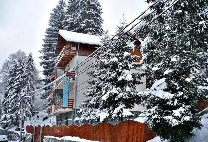 Pension Casa Soarelui