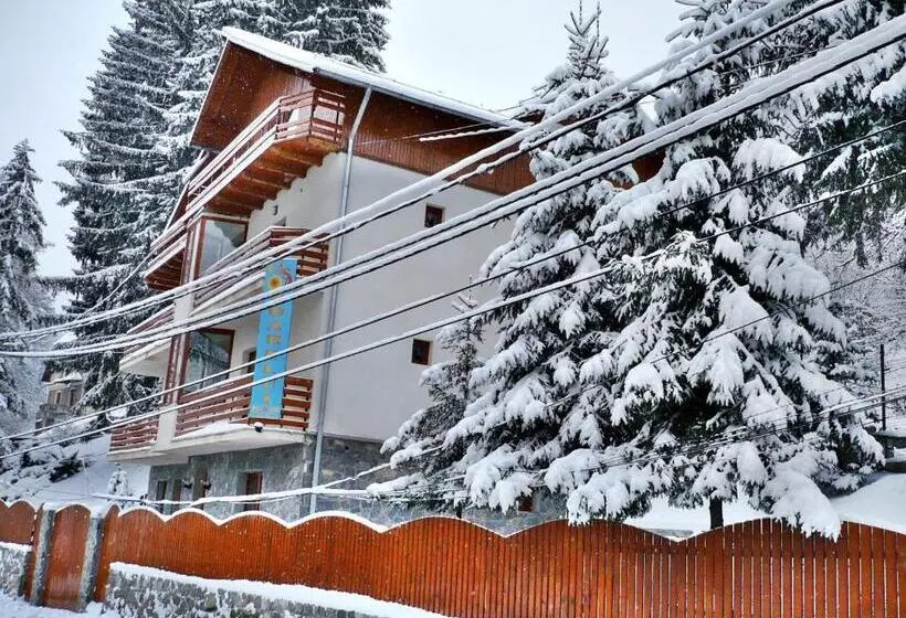 Pension Casa Soarelui