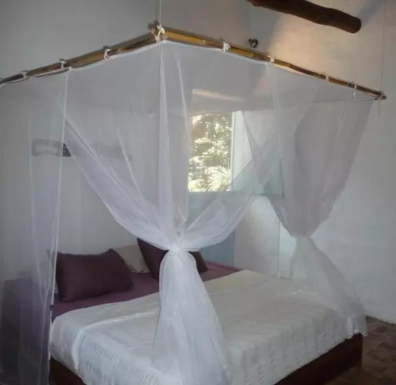 Posada Finca San Vicente B&b