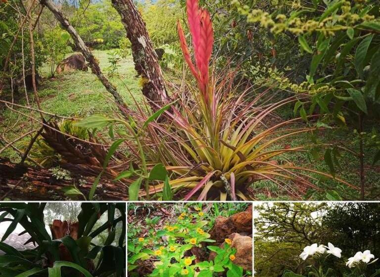 Posada Finca San Vicente B&b