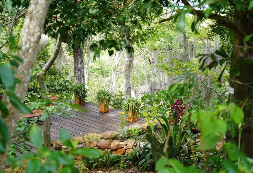 Posada Finca San Vicente B&b