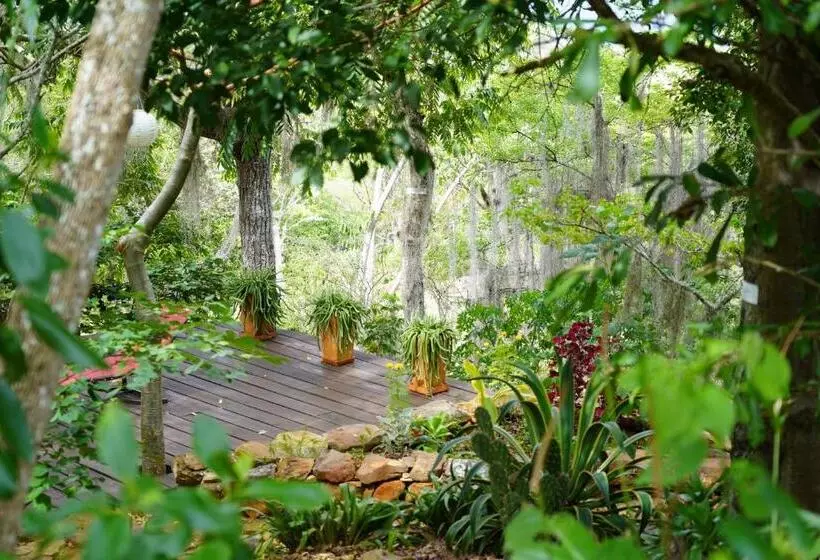 Posada Finca San Vicente B&b