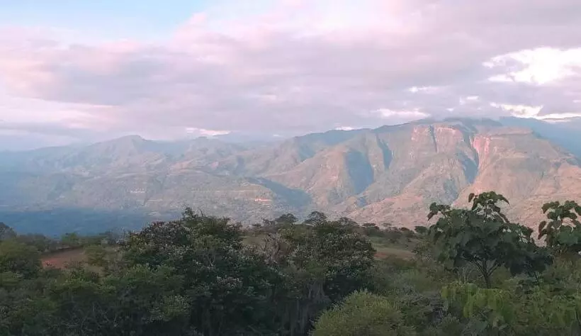 Posada Finca San Vicente B&b