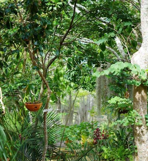 Posada Finca San Vicente B&b