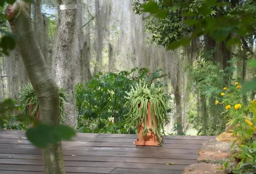 Posada Finca San Vicente B&b