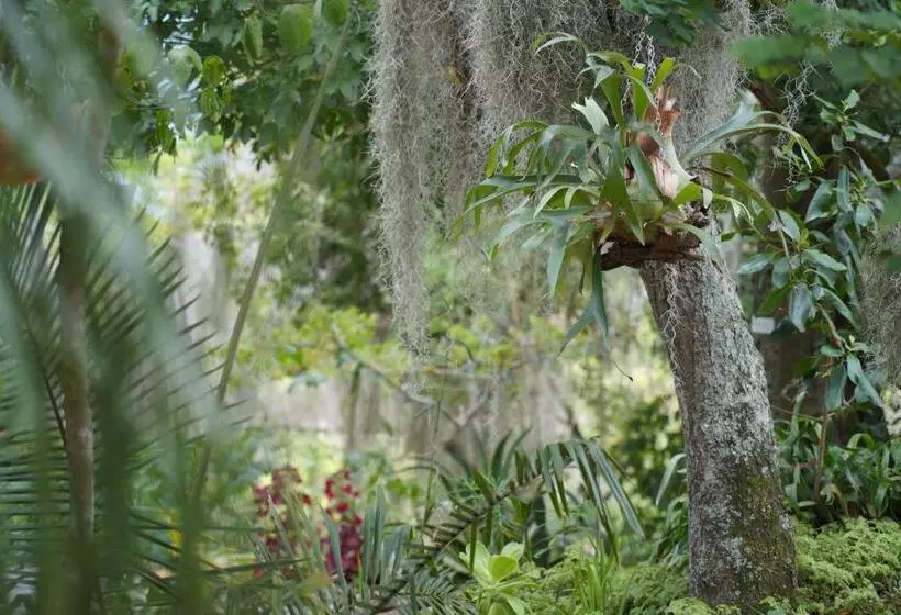 Posada Finca San Vicente B&b