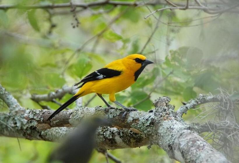 Posada Finca San Vicente B&b