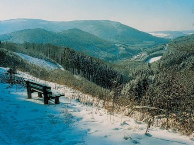 Курорт Typ Wieselbau