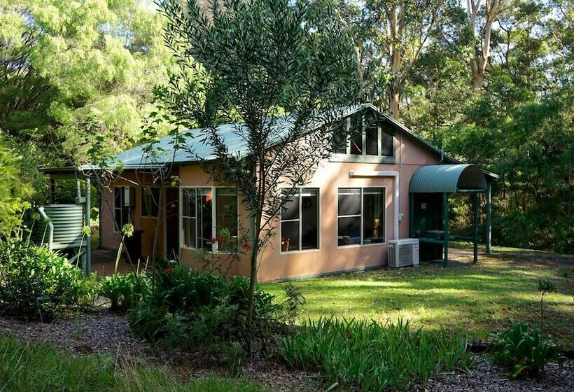 Отель Harmony Forest Accommodation And Vineyard