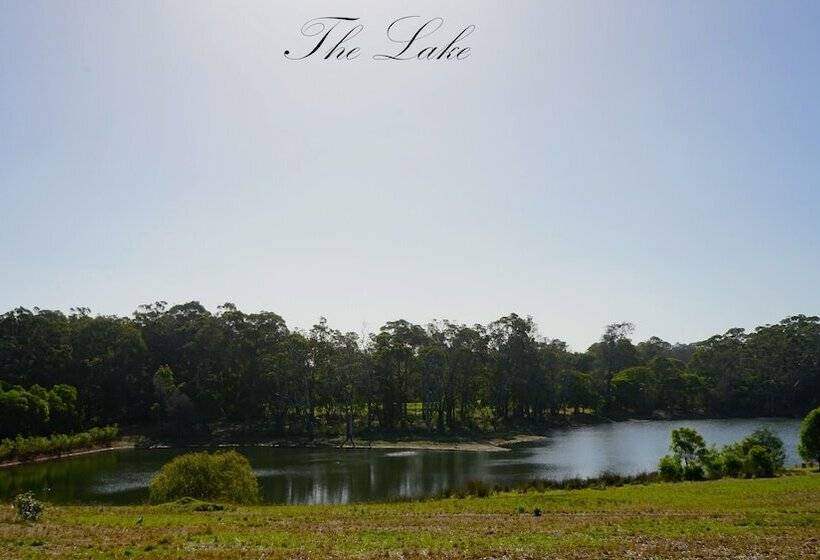 Отель Harmony Forest Accommodation And Vineyard