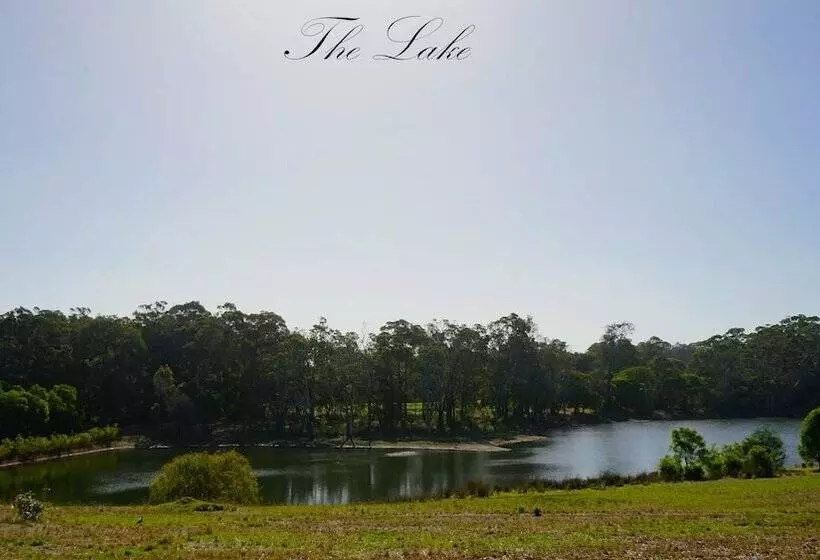 Hotelli Harmony Forest Accommodation And Vineyard