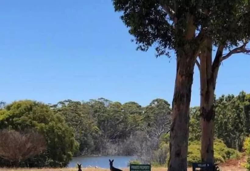 Hotelli Harmony Forest Accommodation And Vineyard