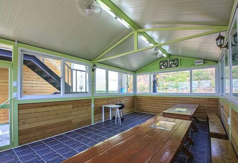 Afternoon Of The Forest Pension